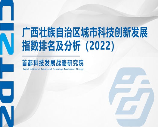 妓女的逼被操翻了【成果发布】广西壮族自治区城市科技创新发展指数排名及分析（2022）